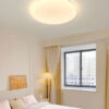 Ceiling Light 8830 (24/36W) D/L