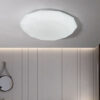 Ceiling_Light-8847_24_36_48W-D_L