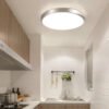 Ceiling_Light-8850_24_36W_D_L