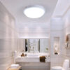 Ceiling_Light-8856_24W_Build_in_LED-D_L