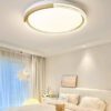 Ceiling_Light-8859M_36W_D_L