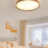 Ceiling_Light_8829-24_36W-D_L