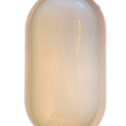 Ceiling_Light_8855_Waterproof_IP66_24W