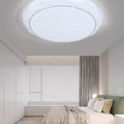 Ceiling Light